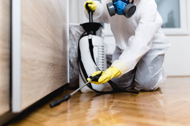 Best Pest Control Treatment  in Oak Park, IL