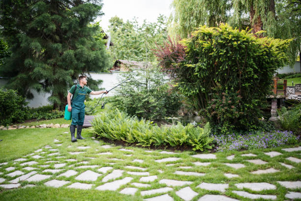 Best Best Pest Control Companies  in Oak Park, IL
