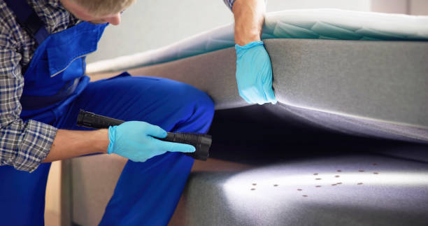 Best Mosquito Control Services  in Oak Park, IL
