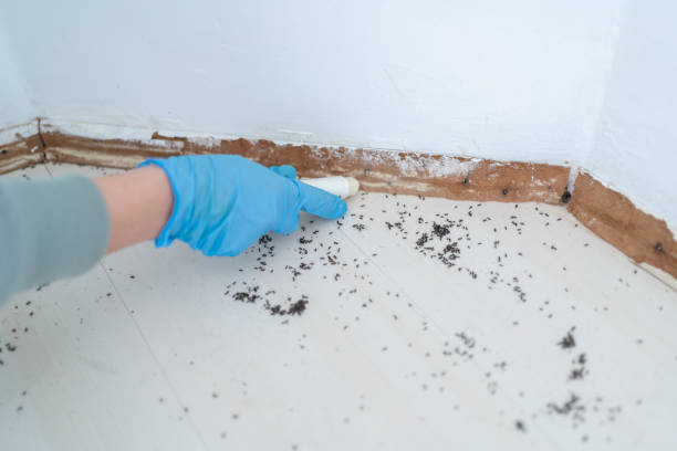 Best Residential Pest Control  in Oak Park, IL