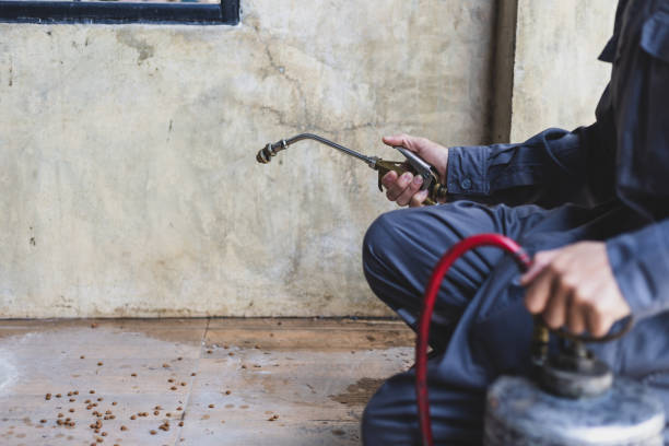 Best Termite Control Services  in Oak Park, IL